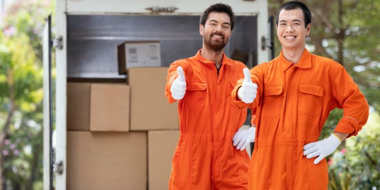 Professional Movers In Dubai