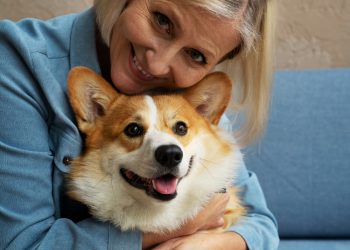 Navigating the Costs of Owning a Pembroke Welsh Corgi: What to Expect
