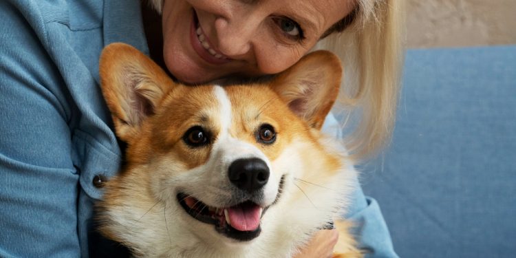 Navigating the Costs of Owning a Pembroke Welsh Corgi: What to Expect